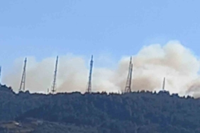 Bursa’da orman yangını