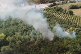 Bursa’da otluk alan alev alev yandı