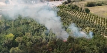 Bursa’da otluk alan alev alev yandı