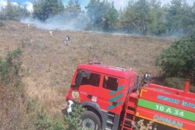Bursa’da peş peşe çıkan yangınlar kontrol altına alındı