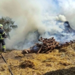 Bursa’da saman balyaları alevlere teslim oldu