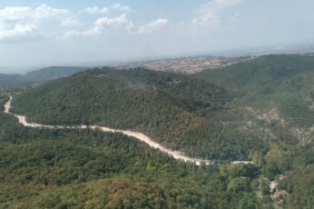 Bursa’da yıldırım düşmesi sonucu çıkan orman yangını söndürüldü