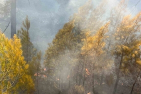 Bursa’daki orman yangını kontrol altına alındı