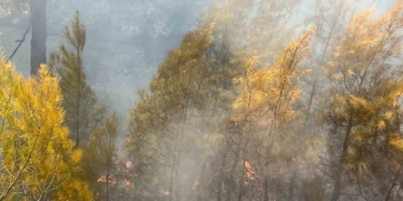 Bursa’daki orman yangını kontrol altına alındı