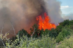 Bursa’daki orman yangınına 85 araç, 302 personelle müdahalede 7. saat
