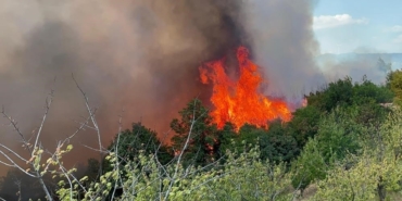 Bursa’daki orman yangınına 85 araç, 302 personelle müdahalede 7. saat