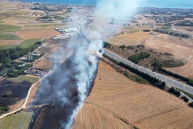 Büyükçekmece’de geniş alanda ot yangını