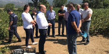 Çan Kaymakamı Dr. Nebioğlu Aronya Tarlasını Gezdi