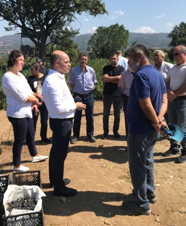 Çan Kaymakamı Dr. Nebioğlu Aronya Tarlasını Gezdi