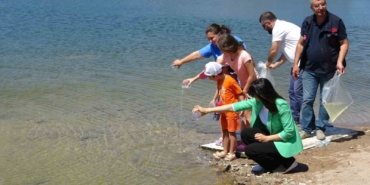 Çanakkale’de baraj ve göletlere 1 milyon 750 bin sazan yavrusu bırakıldı