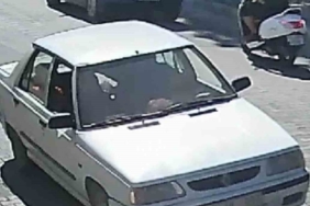 Çanakkale’de inanılmaz kurtuluş: Üzerinden otomobil geçen yavru köpek yaralanmadan kurtuldu