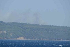 Çanakkale’de orman yangını