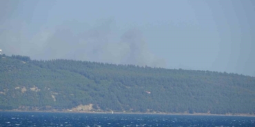 Çanakkale’de orman yangını