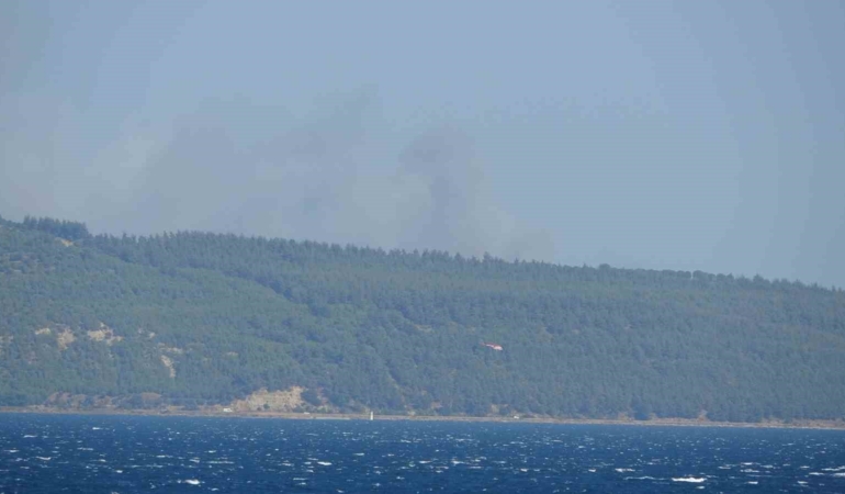 Çanakkale’de orman yangını