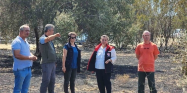 Çanakkale’de orman yangının ardından hasar tespit çalışmaları başladı