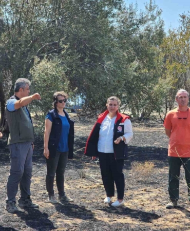 Çanakkale’de orman yangının ardından hasar tespit çalışmaları başladı