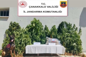 Çanakkale’de uyuşturucu operasyonu