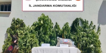 Çanakkale’de uyuşturucu operasyonu