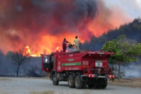 Çanakkale’deki orman yangını devam ediyor