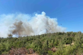 Çanakkale’deki orman yangınına havadan ve karadan müdahale sürüyor