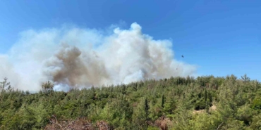Çanakkale’deki orman yangınına havadan ve karadan müdahale sürüyor