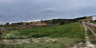 Çatalca’da kavun tarlalarına dadanan domuzlar çiftçileri canından bezdirdi