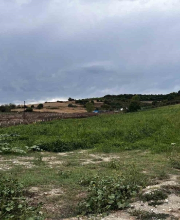 Çatalca’da kavun tarlalarına dadanan domuzlar çiftçileri canından bezdirdi