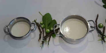 Çoban aşı ‘Teleme’nin tarifi Homeros’un 2 bin 750 yıllık İlyada Destanı’nda çıktı