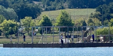 Çocuklar Pelitözü göletinde tehlikeyle karşı karşıya