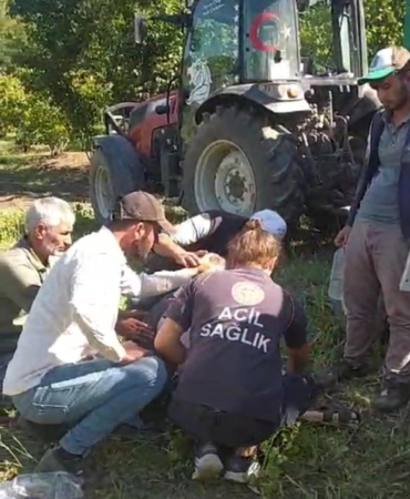 D-140’da otomobil ile traktör çarpıştı: 2 yaralı