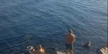 Denize yüzmeye giden vatandaşlar yunus balığını görünce şaşırdı