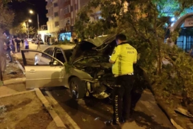 Direksiyon hakimiyetini kaybetti, ağaca çarptı: 4 yaralı