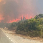 Eceabat’taki orman yangını büyüyor
