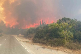Eceabat’taki orman yangını büyüyor