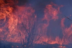 Edirne’de 4 köyü etkileyen yangında alevler göğe yükseldi