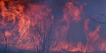 Edirne’de 4 köyü etkileyen yangında alevler göğe yükseldi