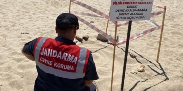 Edirne’de kaplumbağa üreme alanlarına denetim