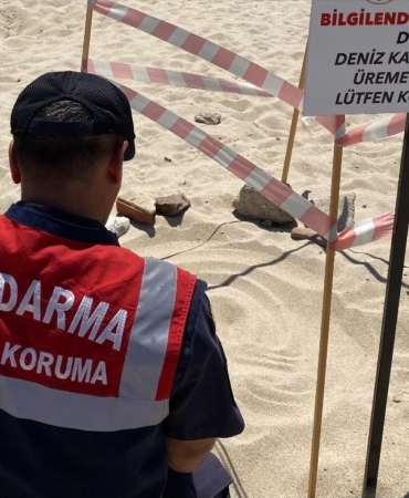 Edirne’de kaplumbağa üreme alanlarına denetim