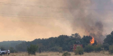 Edirne’de orman yangını anızlık alana sıçradı: 2 baraka zarar gördü