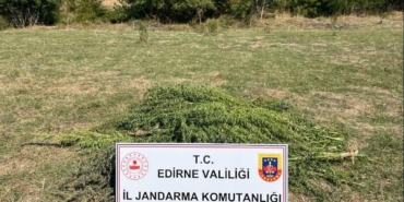 Edirne’de uyuşturucu operasyonu: 300 kök kenevir imha edildi