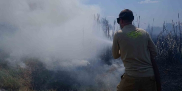 Edirne’de yürekleri ağza getiren yangın