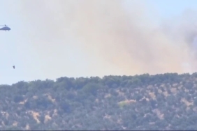 Erdek’te orman yangını, havadan ve karadan müdahale ediliyor