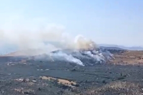 Erdek’teki orman yangınına 4 helikopter ve 3 uçak müdahale ediyor