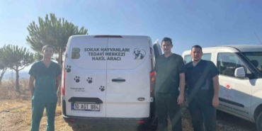 Erdek’teki yangında yaralanan hayvanlara anında müdahale