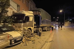 Freni boşalan tır dehşet saçtı