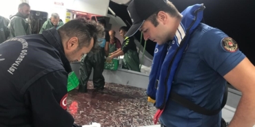 Hamsi avcılığına kota getirildi, gemi sahipleri için son başvuru tarihi 6 Eylül