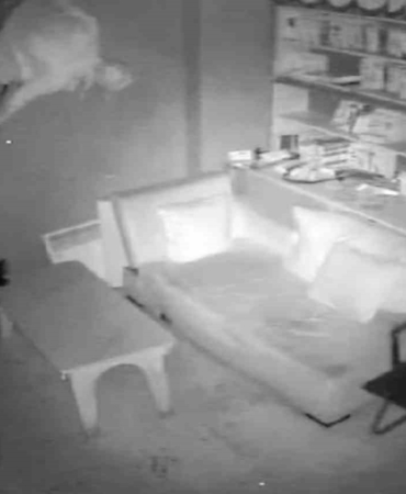 Havalandırma camından girerek 22 telefon çaldı