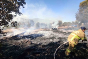 Havran’da traktör römorkunda başlayan yangın makilik alana sıçradı