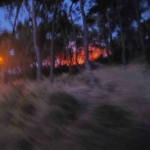 Heybeliada’da ormanlık alanda yangın