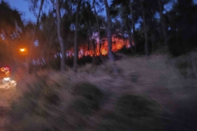 Heybeliada’da ormanlık alanda yangın